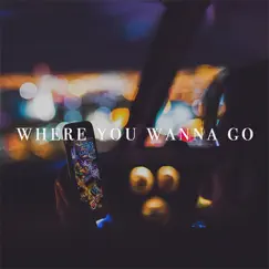 Where You Wanna Go (feat. Olivia Escuyos) [Acoustic] - Single by Adrian Milanio album reviews, ratings, credits