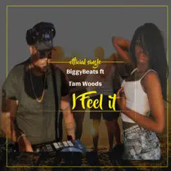 I Feel It (feat. Tam Woods) - Single by BiggyBeats album reviews, ratings, credits