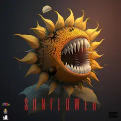 Sun Flower - Single by LmndPat album reviews, ratings, credits