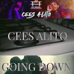 Going Down - Single by Cees Alito album reviews, ratings, credits