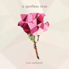 A Spotless Rose Song Lyrics