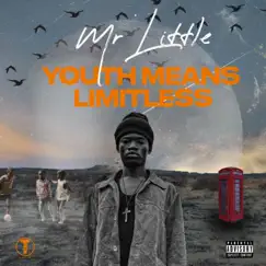 Youth Means Limitless by Mr. Little album reviews, ratings, credits