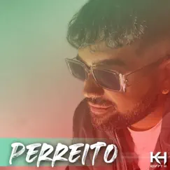 Perreito Song Lyrics