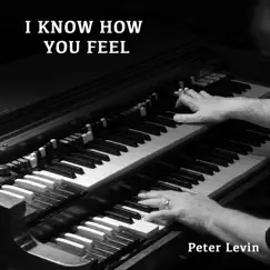 I Know How You Feel (feat. Adam Smirnoff & Bobby Allende) - Single by Peter Levin album reviews, ratings, credits