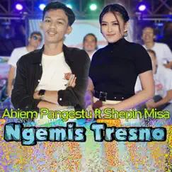 Ngemis Tresno (feat. Sephin Misa) - Single by Abiem Pangestu album reviews, ratings, credits
