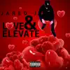 Love & Elevate album lyrics, reviews, download