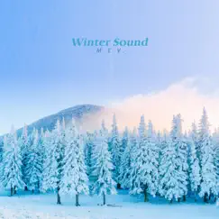 Echo Winter Song Lyrics