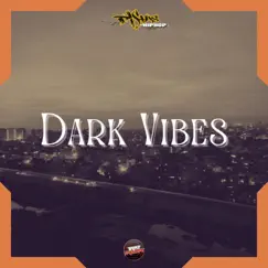 Dark Vibes - Single by Pistas-HipHop album reviews, ratings, credits