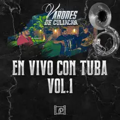 En Vivo Con Tuba Vol. 1 by Los Varones de Culiacán album reviews, ratings, credits