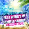 Erst wenn's im Sommer schneit (Summerfield Remix) - Single album lyrics, reviews, download