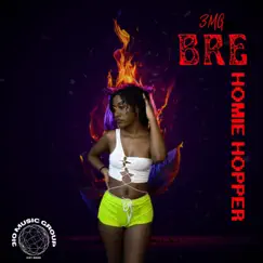 Homie Hopper (feat. Bre) - Single by 3IO MUSIC GROUP album reviews, ratings, credits