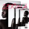 Serina (feat. Tim) - Single album lyrics, reviews, download