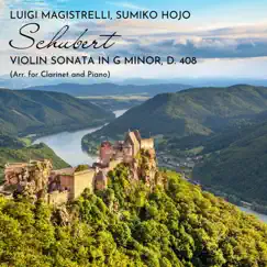 Violin Sonata in G Minor, D. 408: III. Menuetto (Arr. for Clarinet and Piano) Song Lyrics