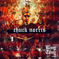 Chuck norris (feat. Deckdaddy) Song Lyrics