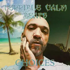 Choices - Single by Terrible Calm album reviews, ratings, credits