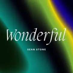 Wonderful - Single by Sean Stone album reviews, ratings, credits