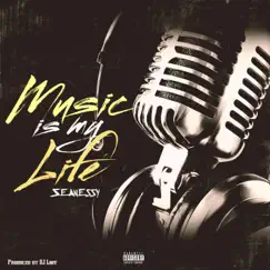 Music Is My Life - Single by Seanessy album reviews, ratings, credits