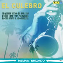 El Culebro (Instrumental) Song Lyrics