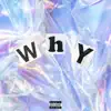 Why - Single (feat. Savuego) - Single album lyrics, reviews, download