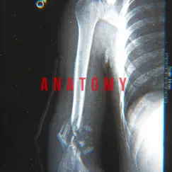 Anatomy by J MöFasa album reviews, ratings, credits