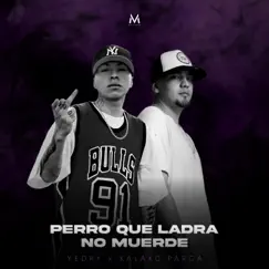 Perro Que Ladra No Muerde (feat. Kalako Parga Oficial) Song Lyrics