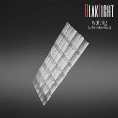 Waiting (feat. Solar Fake) [Solar Fake Remix] [Solar Fake Remix] - Single by BlakLight album reviews, ratings, credits