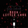 Need Little Love - Single album lyrics, reviews, download