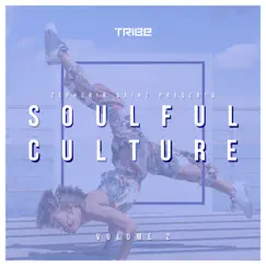 Zepherin Saint Presents Soulful Culture, Vol. 2 by Various Artists album reviews, ratings, credits