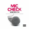 Mic Check - Single album lyrics, reviews, download
