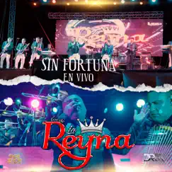 Sin Fortuna - Single by Los De La Reyna album reviews, ratings, credits