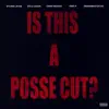 IS THIS a POSSE CUT? (feat. Sylvan Lacue, Chris Patrick, Solo Jaxon, GrandMaster Vic & Free P) - Single album lyrics, reviews, download