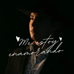 Me Estoy Enamorando - Single by Emilio Castillo album reviews, ratings, credits