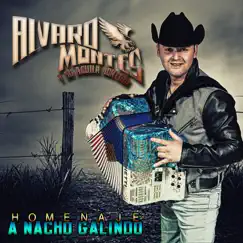 Homenaje a Nacho Galindo by Alvaro Montes y Su Aguila Norteña album reviews, ratings, credits