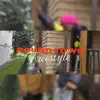 Pound Town Freestyle - Single album lyrics, reviews, download