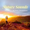 Nature Sounds with Hang Drumming album lyrics, reviews, download