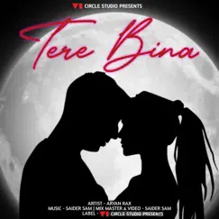 Tere Bina (Original) Song Lyrics