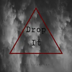 Drop It - Single by Ergit Furtuna album reviews, ratings, credits