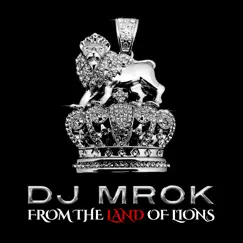 Mr. DJ Song Lyrics