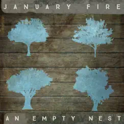 An Empty Nest by January Fire album reviews, ratings, credits
