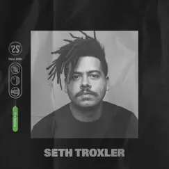 Seth Troxler at CRSSD Festival 2021: The Palms (DJ Mix) by Seth Troxler album reviews, ratings, credits