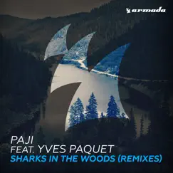 Sharks in the Woods (feat. Yves Paquet) [Acoustic Version] Song Lyrics