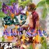 Puna Boy Anthem Remixed (feat. Malak Watson, CyThaDon, Kyle Strngz, Luck the Knucklefat, Casey808, Jayy2Kayy, Big Sep, Seline, SOULJAH GIRL, Dr. Timmons, KILLAH K, Fed & a. Napua Hu'eu) [Remix] - EP album lyrics, reviews, download