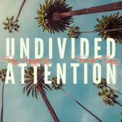 Undivided Attention - Single by Tray Haggerty & Fredo Bang album reviews, ratings, credits