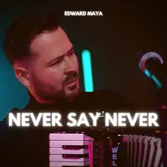 Never Say Never - Single by Edward Maya album reviews, ratings, credits