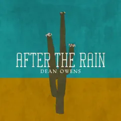 After the Rain (feat. Joey Burns & John Convertino) - Single by Dean Owens album reviews, ratings, credits