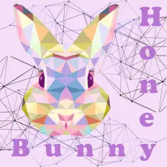 Jump Higher by Honey Bunny album reviews, ratings, credits