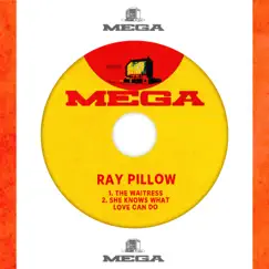 The Waitress / She Knows What Love Can Do - Single by Ray Pillow album reviews, ratings, credits