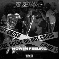 How Im Feeling - Single by JB Denaro album reviews, ratings, credits