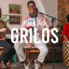 Grilos (Ao Vivo) - Single album lyrics, reviews, download
