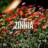 Zinnia - Single album lyrics, reviews, download